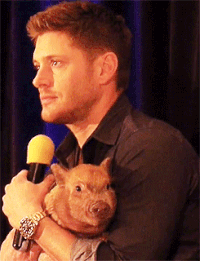  Jensen Ackles animales