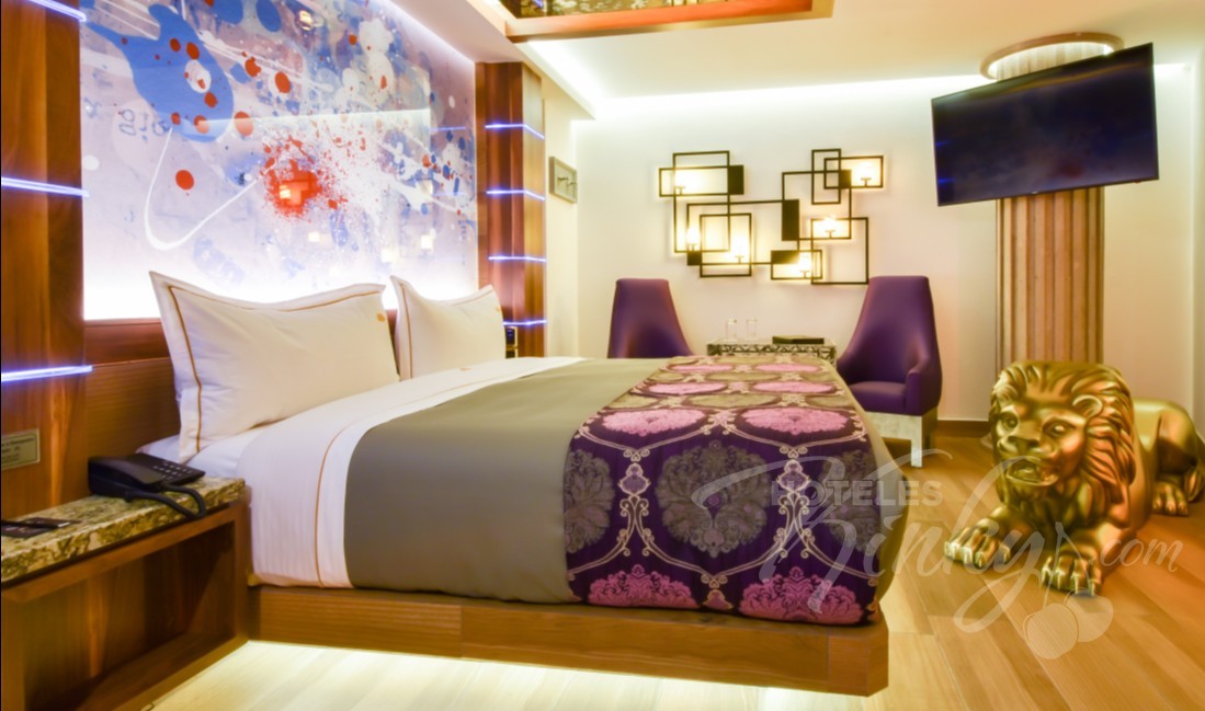 Love Hotel VP Vintage , Habitacion Suite Standar